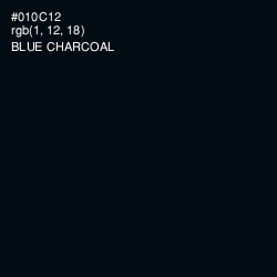 #010C12 - Blue Charcoal Color Image